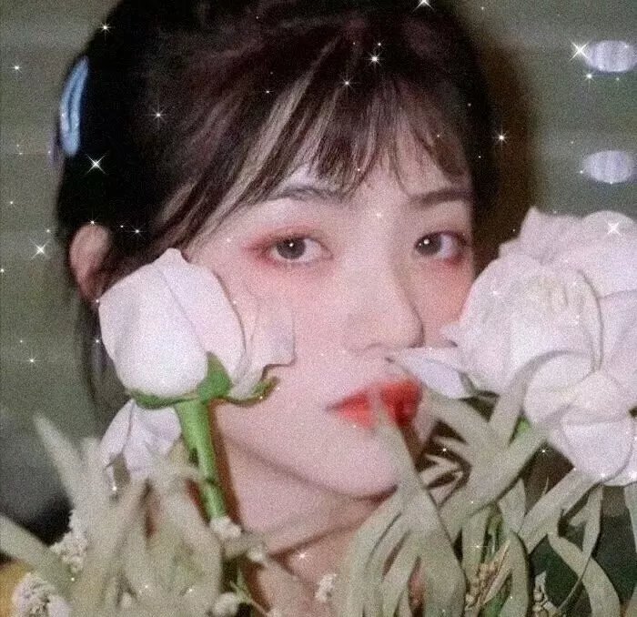 假想敌